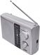 Портативное радио Noveen PR451 Silver