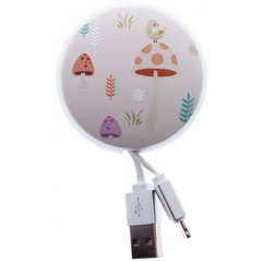 Кабель micro USB Joyroom Painting attic PT-S01 90cm Mushroom